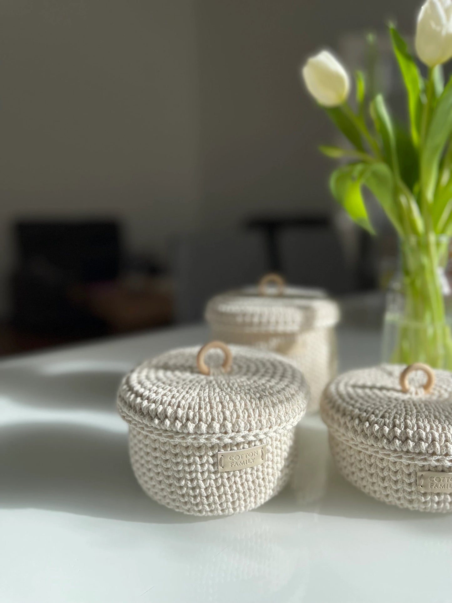 "RING" Set of 3 Round MEDIUM-Organizer Lidded Baskets